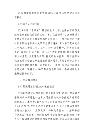 XX市博爱公益协会党支部2025年度书记抓党建工作述职报告