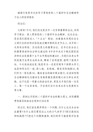 城商行党委书记在学习贯彻党的二十届四中全会精神学习会上的宣讲报告