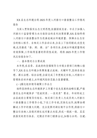 XX县生态环境分局2025年度入河排污口排查整治工作情况报告