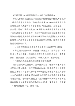 XX研究院2025年度消防安全专项工作情况报告