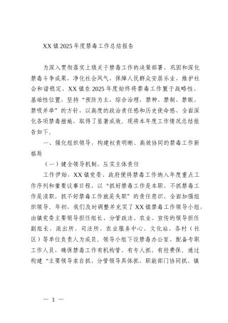 XX镇2025年度禁毒工作总结报告