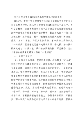 市红十字会党组2025年抓基层党建工作述职报告