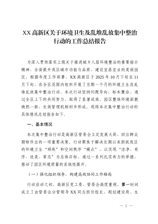 XX高新区关于环境卫生及乱堆乱放集中整治行动的工作总结报告