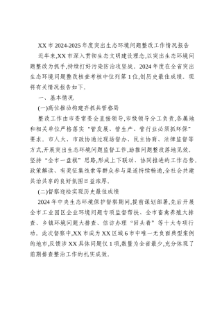 XX市2024-2025年度突出生态环境问题整改工作情况报告