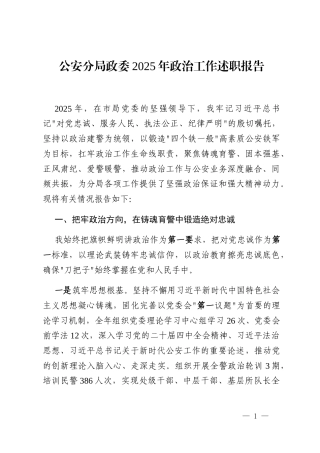 公安分局政委2025年政治工作述职报告