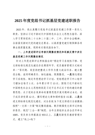 2025年度党组书记抓基层党建述职报告