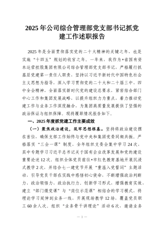2025年公司综合管理部党支部书记抓党建工作述职报告