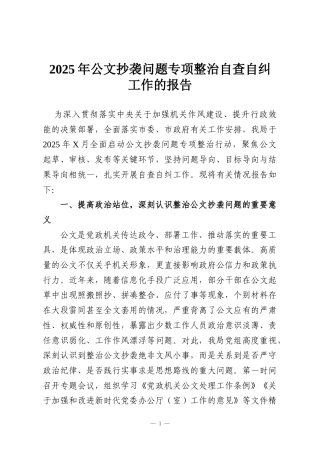 2025年公文抄袭问题专项整治自查自纠工作的报告
