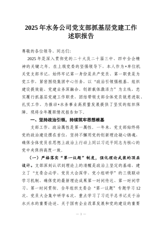 2025年水务公司党支部抓基层党建工作述职报告