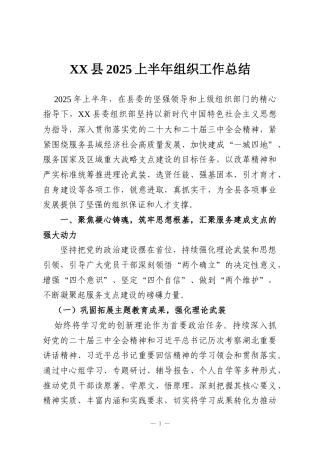 XX县2025上半年组织工作总结