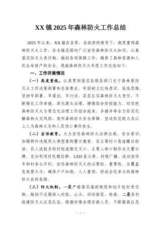 XX镇2025年森林防火工作总结