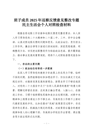 班子成员2025年巡察反馈意见整改专题民主生活会个人对照检查材料