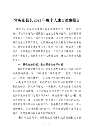 常务副县长2025年度个人述责述廉报告