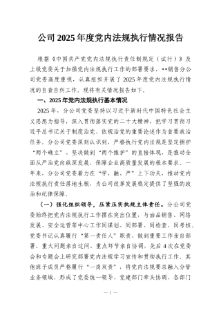 公司2025年度党内法规执行情况报告