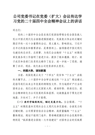 公司党委书记在党委（扩大）会议传达学习党的二十届四中全会精神会议上的讲话