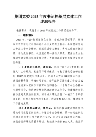 集团党委2025年度书记抓基层党建工作述职报告