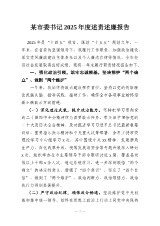 某市委书记2025年度述责述廉报告