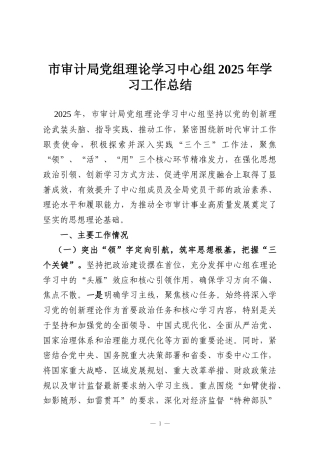 市审计局党组理论学习中心组2025年学习工作总结