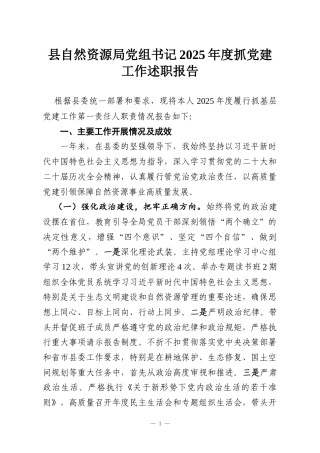 县自然资源局党组书记2025年度抓党建工作述职报告