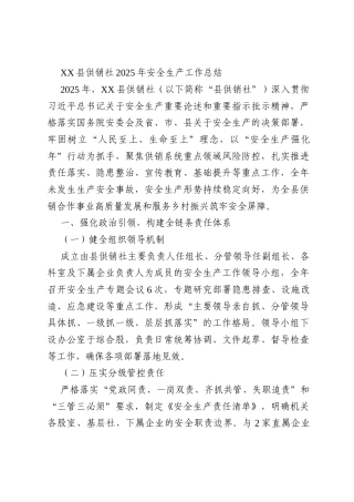 XX县供销社2025年安全生产工作总结
