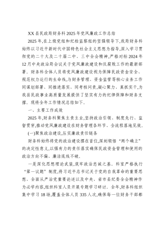 XX县民政局财务科2025年党风廉政工作总结