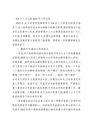 XX乡人大主席2025年工作总结