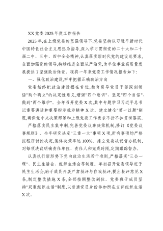 XX党委2025年度工作报告