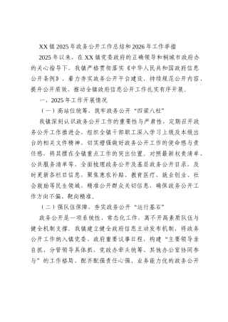 XX镇2025年政务公开工作总结和2026年工作举措