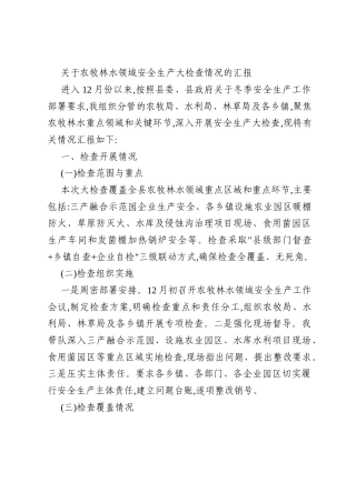 关于农牧林水领域安全生产大检查情况的汇报