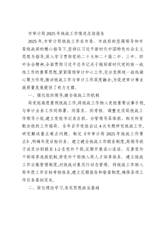 市审计局2025年统战工作情况总结报告