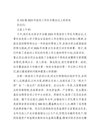 在XX镇2025年驻村工作队专题会议上的讲话