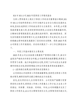 XX市XX公司2025年度保密工作情况报告
