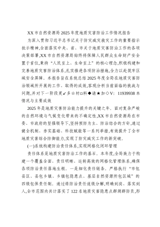 XX市自然资源局2025年度地质灾害防治工作情况报告