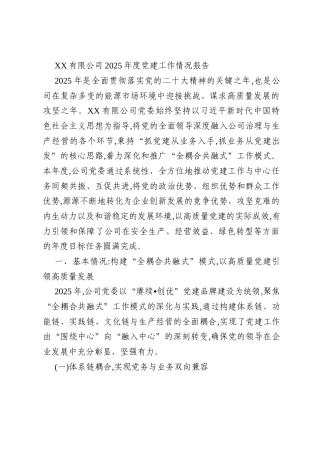 XX有限公司2025年度党建工作情况报告