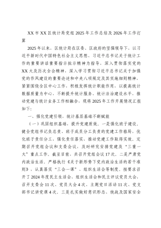 XX市XX区统计局党组2025年工作总结及2026年工作打算