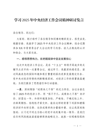 学习2025年中央经济工作会议精神研讨发言
