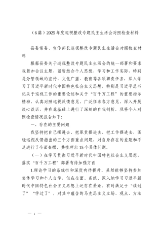 （6篇）2025年度巡视整改专题民主生活会对照检查材料
