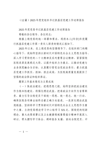 （12篇）2025年度党组织书记抓基层党建工作述职报告