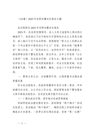 （23篇）2025年述职述廉述法报告汇编