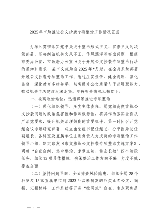 2025年市局推进公文抄袭专项整治工作情况汇报