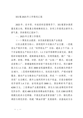 XX镇2025年工作情况汇报