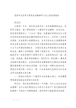 党委书记在学习贯彻全会精神学习会上的宣讲报告