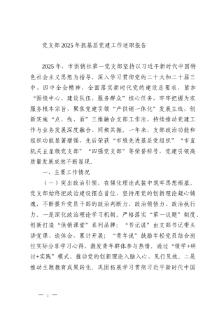 党支部2025年抓基层党建工作述职报告
