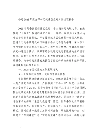 公司2025年度支部书记抓基层党建工作述职报告