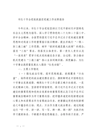 市红十字会党组抓基层党建工作述职报告