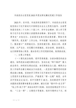 市政府办公室党组2025年度述职述廉述党建工作报告
