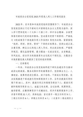 市政府办公室党组2025年度选人用人工作情况报告