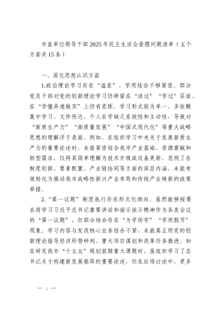 市直单位领导干部2025年民主生活会查摆问题清单（五个方面共15条）