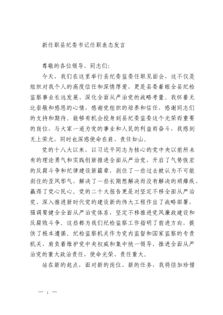 新任职县纪委书记任职表态发言