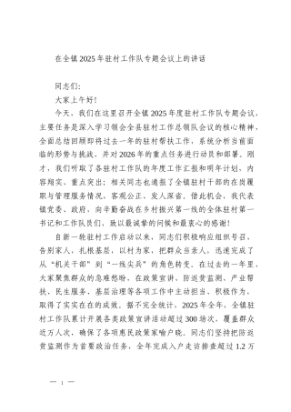 在全镇2025年驻村工作队专题会议上的讲话